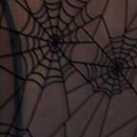 - 🕷 Wicked Sheer Spider Top🕷 - Picture 4 of 8